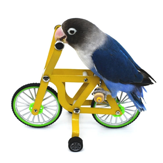 Miniature Bicycle Training Toy for Birds | Bon Bon Bird Toys