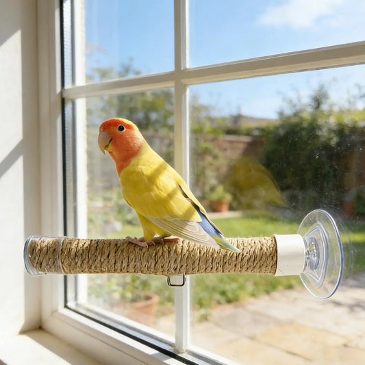 Jute Rope Suction Cup Window Perch for Birds | Bon Bon Bird Toys