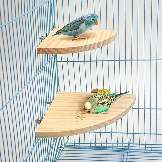 Fan-Shaped Wood Perch Platform | Bon Bon Bird Toys
