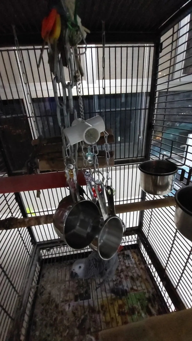 Hanging Stainless Steel Cup Chain Bird Toy