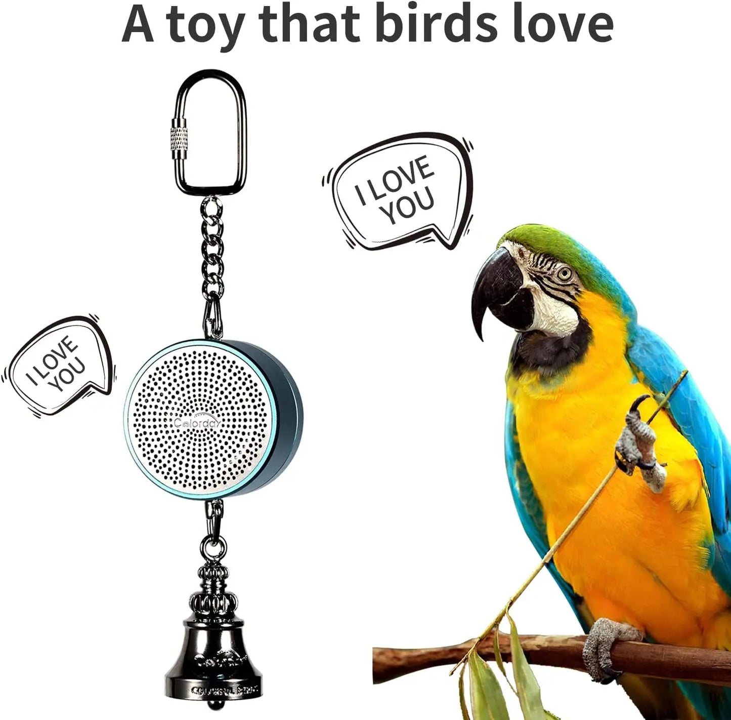 Voice Recording Talking Trainer Toy for Birds | Bon Bon Bird Toys