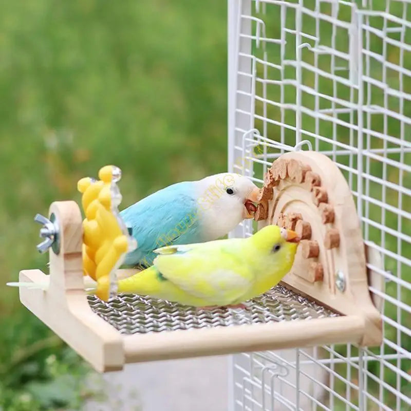 Wooden Platform Perch with Stainless Steel Mesh & Arch | Bon Bon Bird Toys
