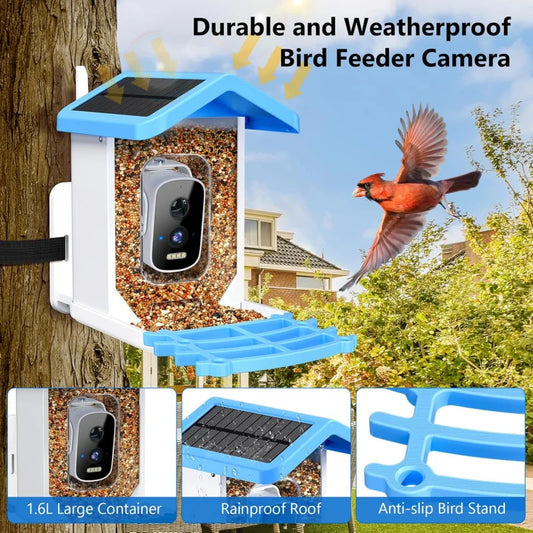 Smart Bird Feeder with AI Camera | Bon Bon Bird Toys