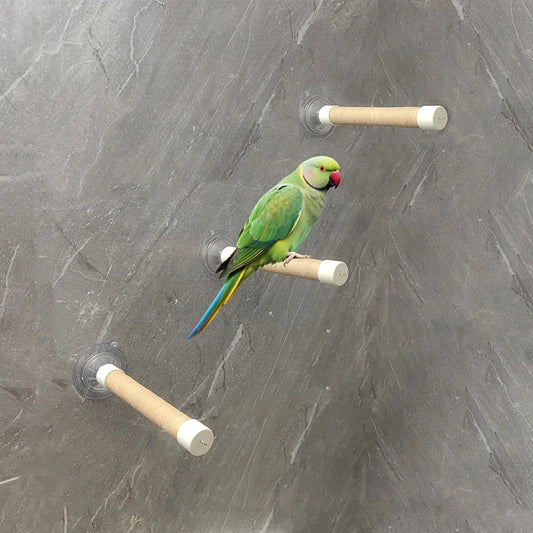 Suction Cup Window Perch for Birds | Bon Bon Bird Toys