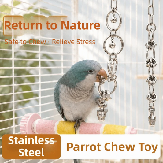 Stainless Steel Chain Toy for Birds | Bon Bon Bird Toys