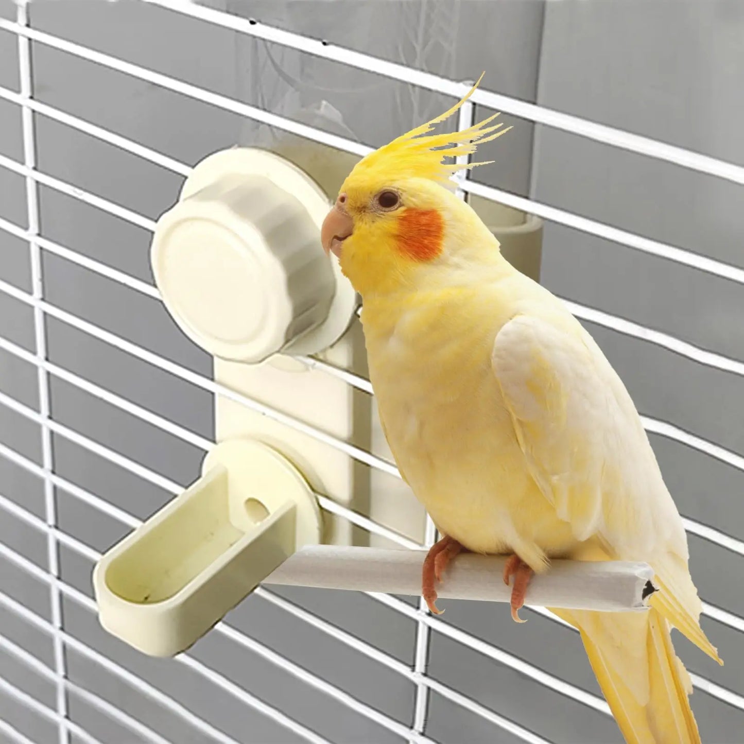 Automatic Gravity Water Dispenser for Bird Cages | Bon Bon Bird Toys