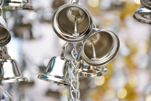 Why Stainless-Steel Bird Toys Are a Must-Have for Your Parrot