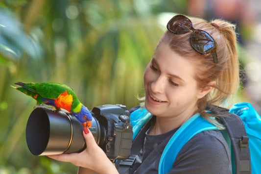  Traveling with Parrots