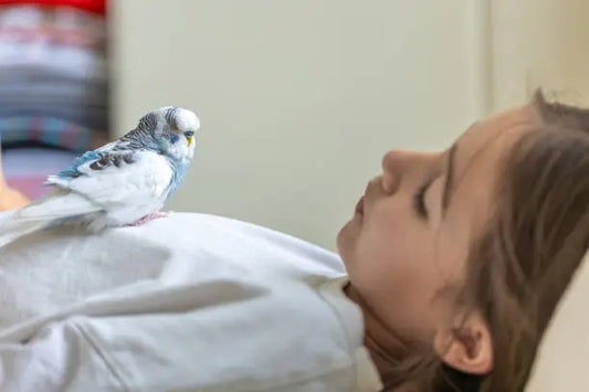 Tweethearts: The Fascinating Reasons to Cherish Your Pet Bird