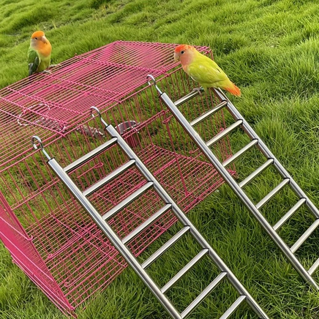 2pcs Stainless Steel Parrot Ladders - Bon Bon Bird Toys