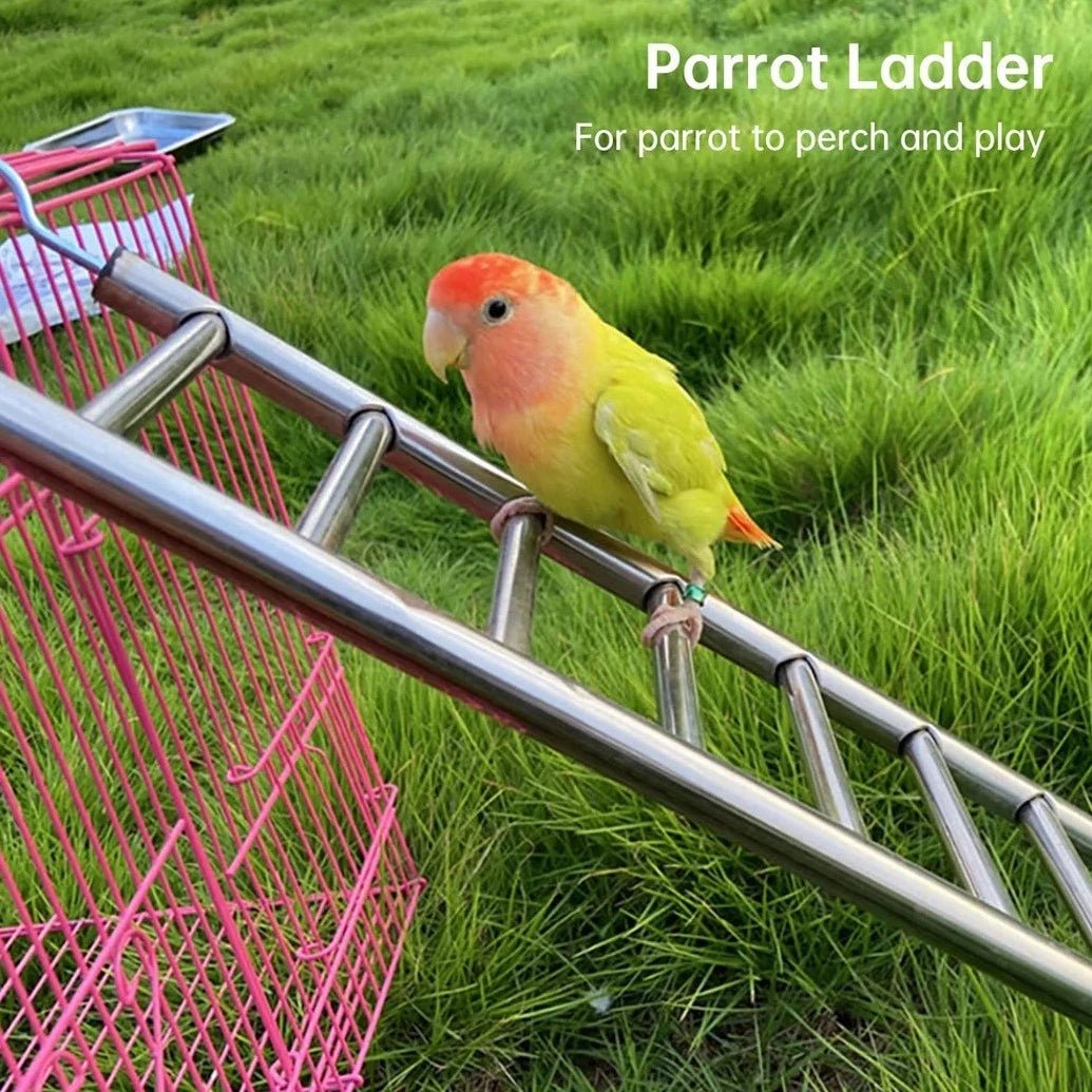 2pcs Stainless Steel Parrot Ladders - Bon Bon Bird Toys