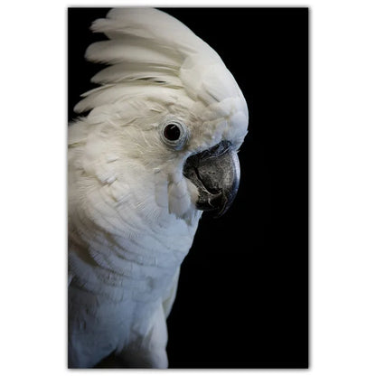 Parrot and Cockatoo Diamond Painting Kit | Bon Bon Bird Toys