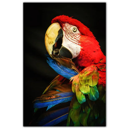 Parrot and Cockatoo Diamond Painting Kit | Bon Bon Bird Toys