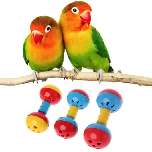 Plastic Rattle Toy for Birds | Bon Bon Bird Toys
