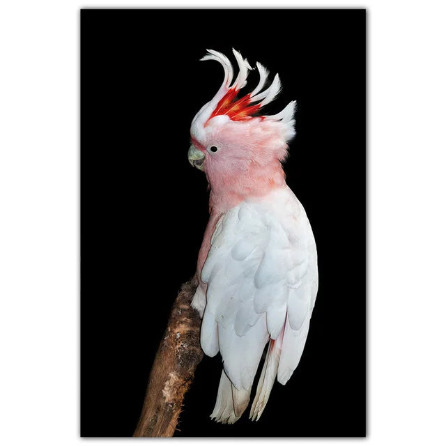 Parrot and Cockatoo Diamond Painting Kit | Bon Bon Bird Toys