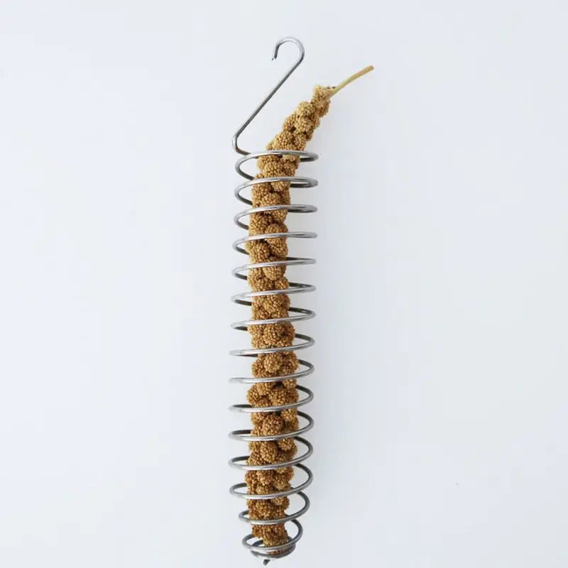 Stainless Steel Spiral Fruit & Veggie Skewer | Bon Bon Bird Toys