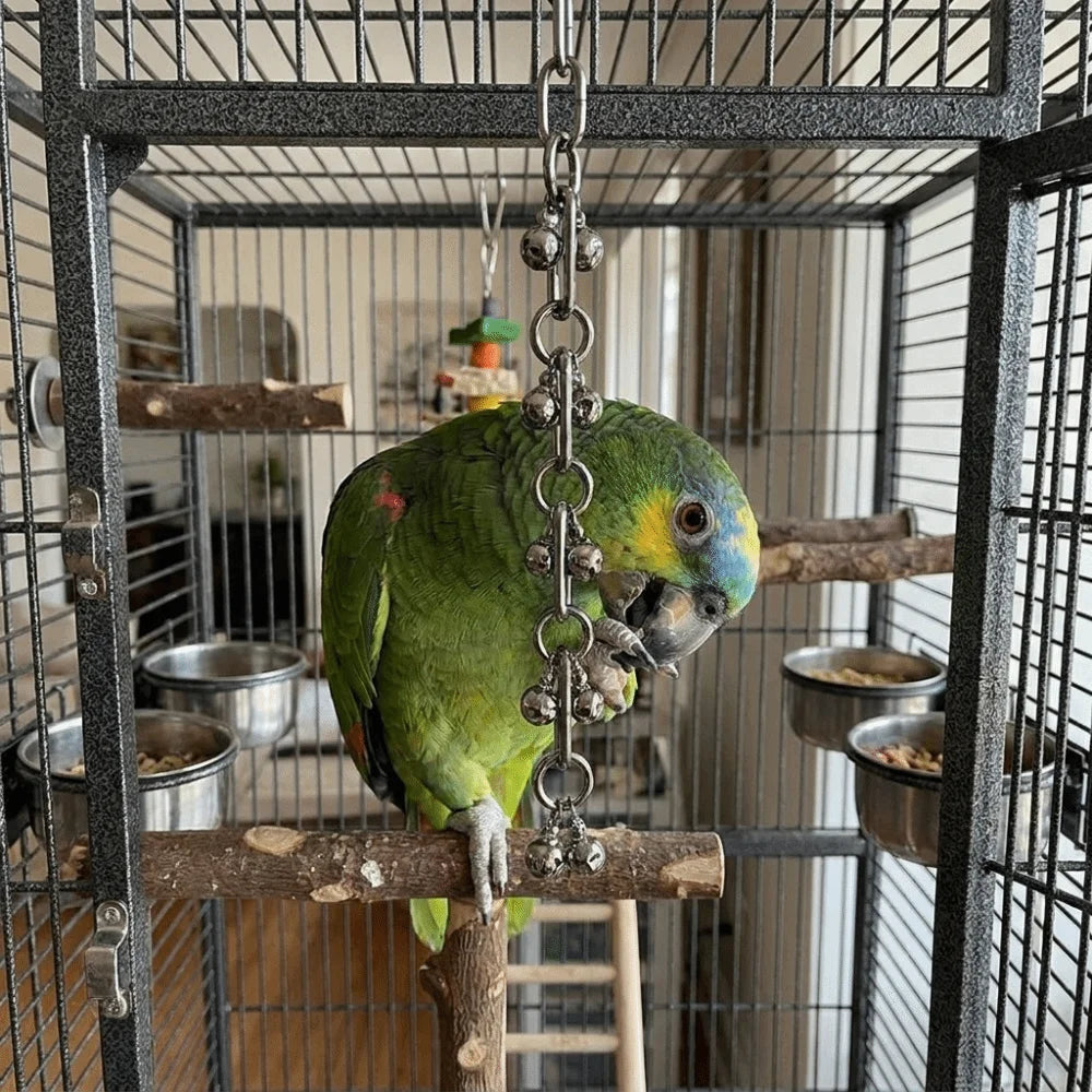 Stainless Steel Chain Toy for Birds | Bon Bon Bird Toys