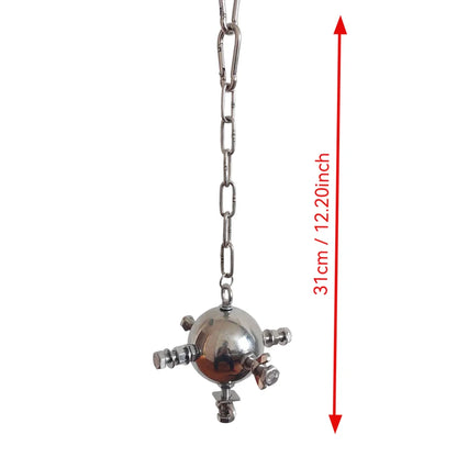 Stainless Steel Star Spinner Toy for Large Parrots