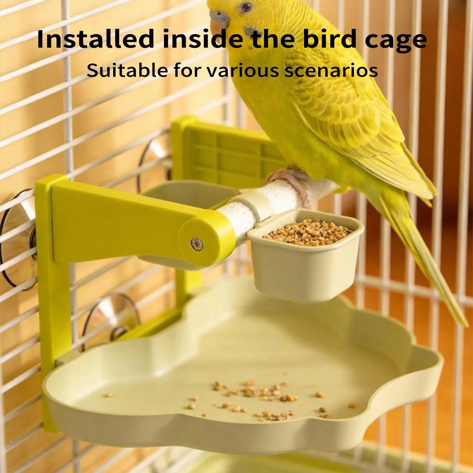 Suction Cup Window Perch & Feeding Station with Waste Basin | Bon Bon …