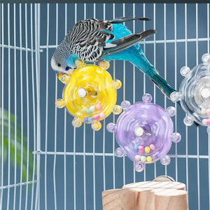 Spinning Ball Puzzle Toy for Birds | Bon Bon Bird Toys