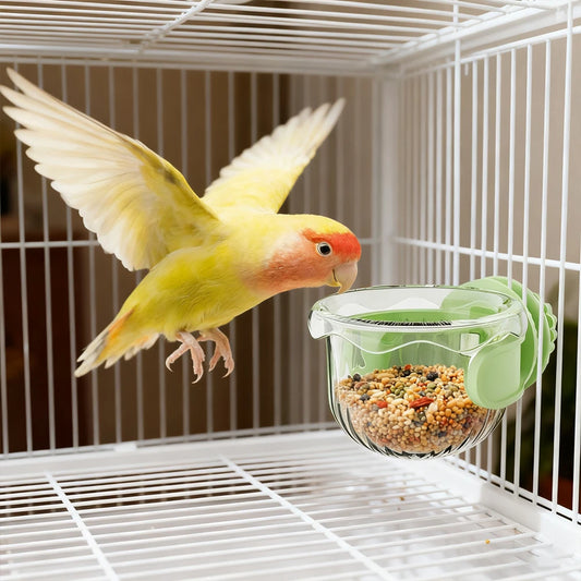Anti-Splash Cage-Mount Bird Feeder Bowl | Bon Bon Bird Toys