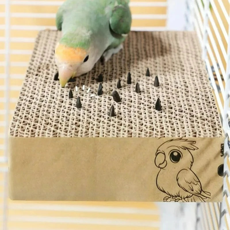 A green and yellow parrot pecks at a spiked cardboard enrichment toy inside a white wire cage.