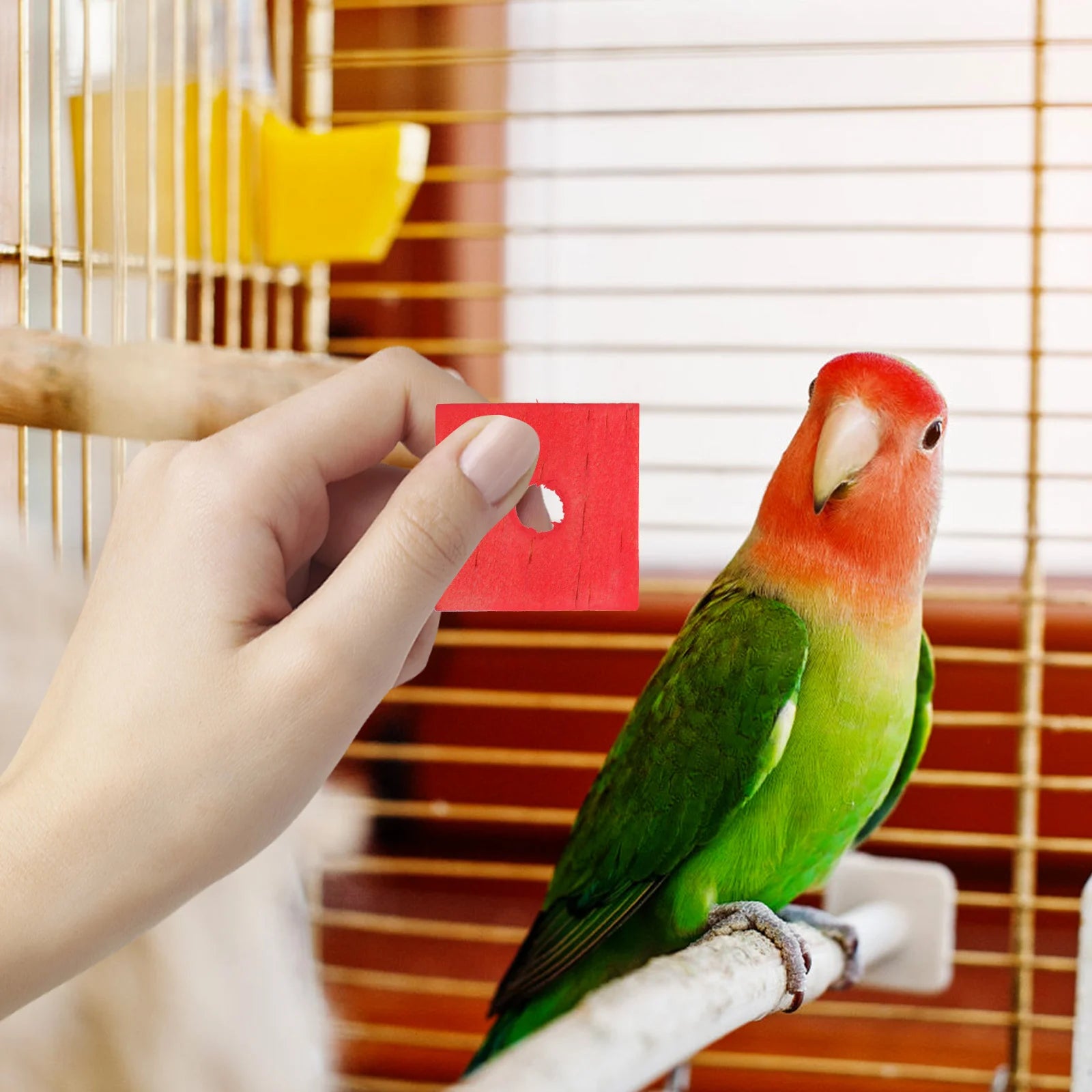DIY Wood Chip Bird Toy Blocks 100 Pack for Small Birds