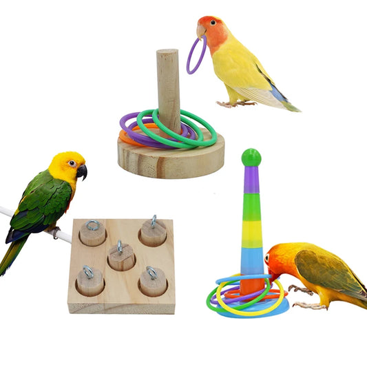 Wooden Parrot Training Puzzle Toy | Bon Bon Bird Toys