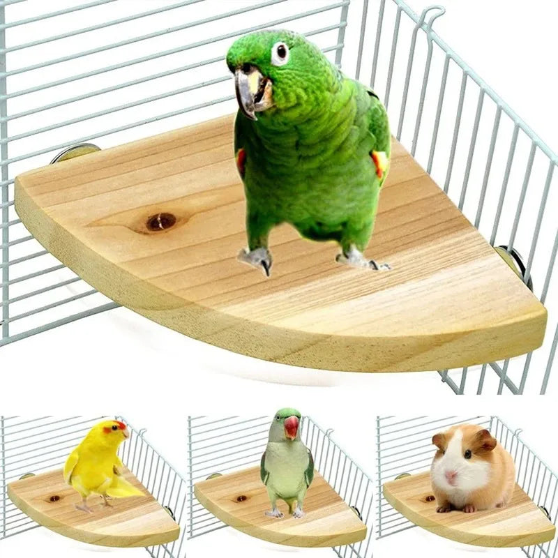 Fan-Shaped Wood Perch Platform | Bon Bon Bird Toys