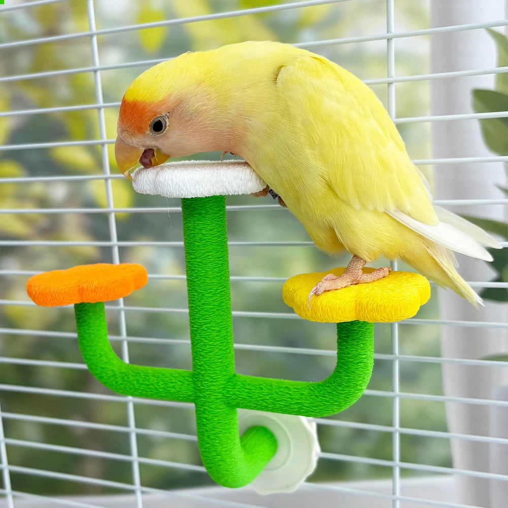 Cactus Bird Perch Stand with Flower Platforms | Bon Bon Bird Toys
