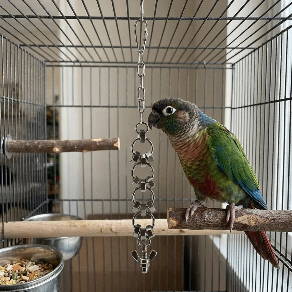Stainless Steel Chain Toy for Birds | Bon Bon Bird Toys