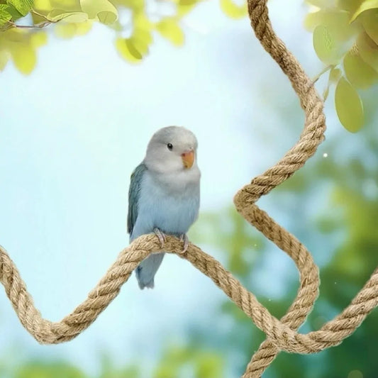 Bendable Twine Rope Perch with Suction Cups | Bon Bon Bird Toys