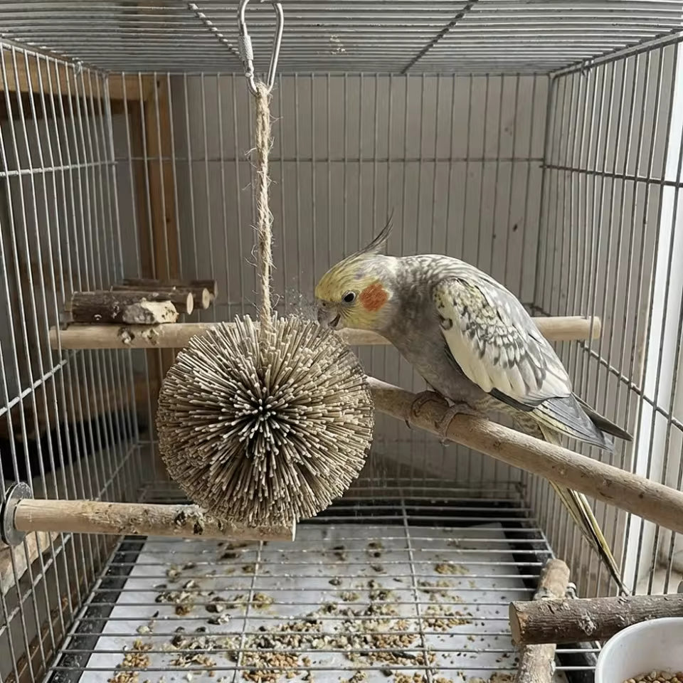 Hanging Natural Grass Ball Bird Chew Toy | Bon Bon Bird Toys