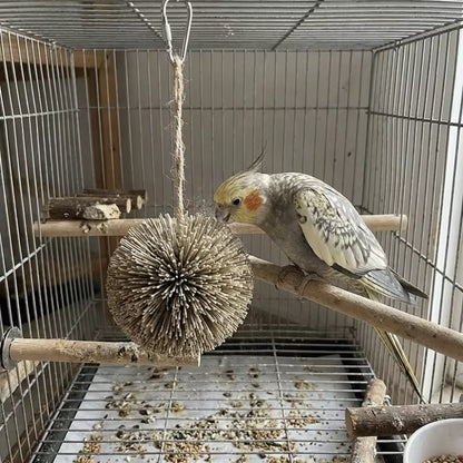 Hanging Natural Grass Ball Bird Chew Toy | Bon Bon Bird Toys