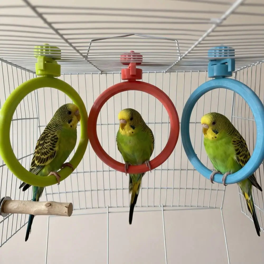 Spinning Ring Perch for Bird Cages | Bon Bon Bird Toys