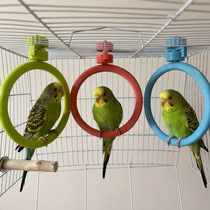 Spinning Ring Perch for Bird Cages | Bon Bon Bird Toys