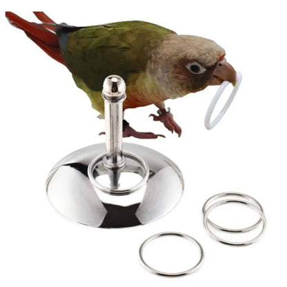 Ring Toss Bird Toy for Parrots & Pet Birds