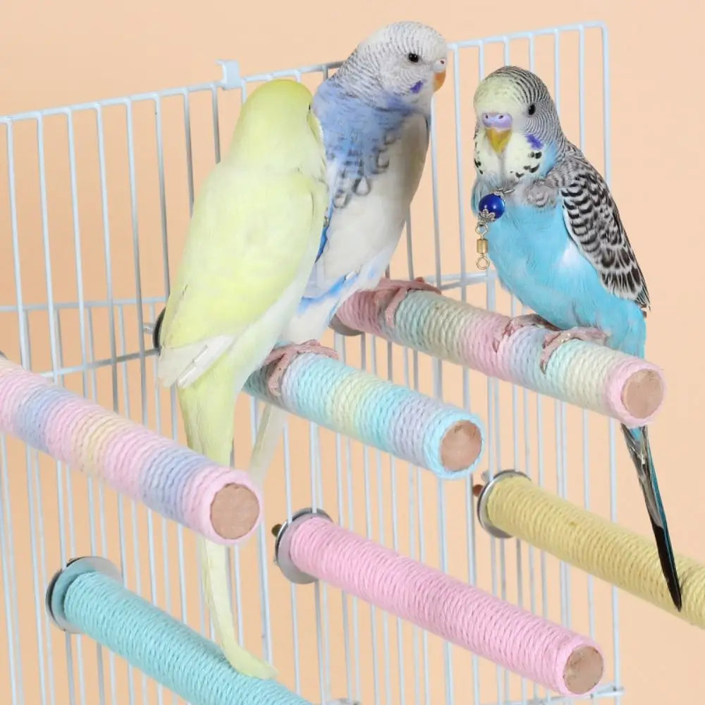 A white metal bird cage with three colorful wrapped wooden perches in pastel pink, blue, and yellow, with two small budgerigars perched on the cage.