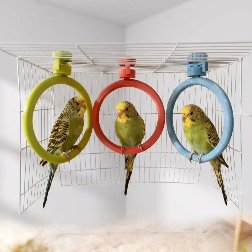 Spinning Ring Perch for Bird Cages | Bon Bon Bird Toys