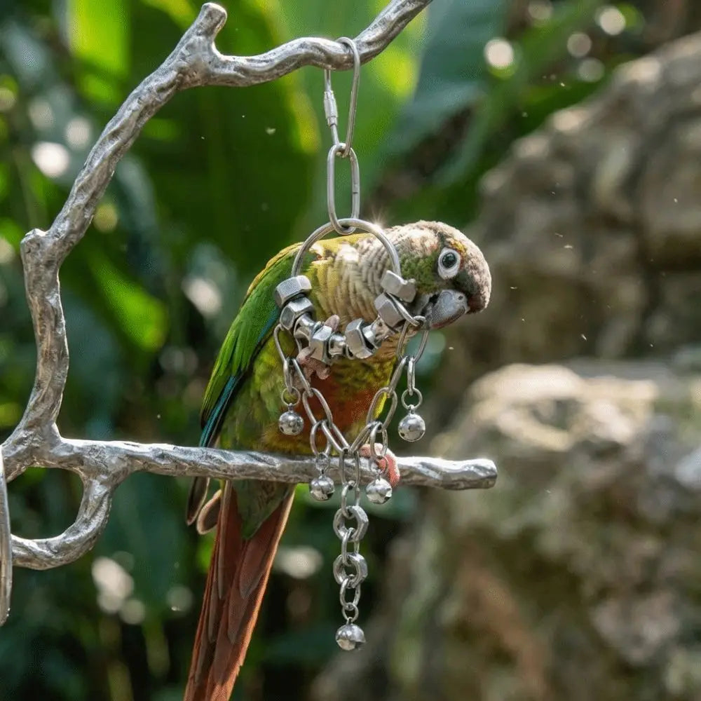 Stainless Steel Chain Bell Toy for Birds