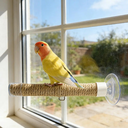 Jute Rope Suction Cup Window Perch for Birds | Bon Bon Bird Toys