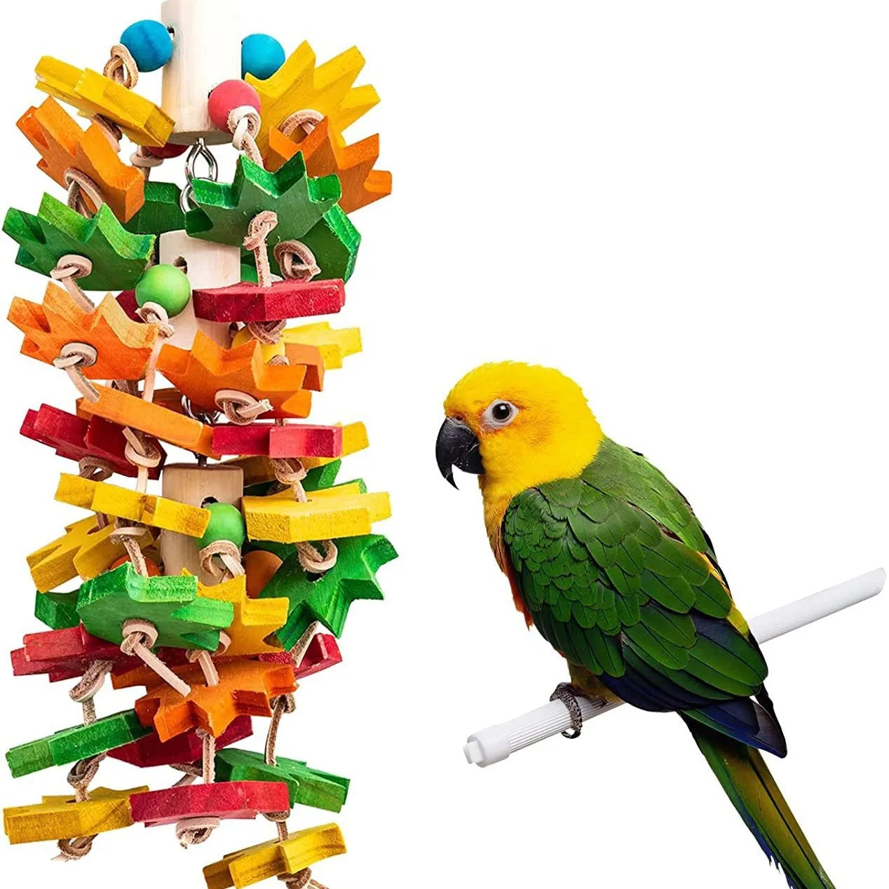 Small Parrot Colorful Wooden Hanging Toy | Bon Bon Bird Toys