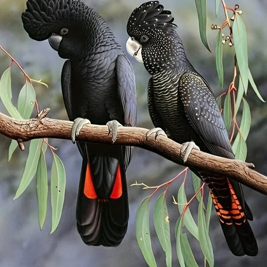 Black Cockatoo Diamond Painting Kit