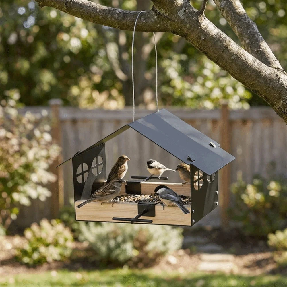 A house-shaped bird feeder with a dark gray metal roof and wooden tray hangs from a tree branch in a backyard. Several small birds are standing on the feeder, which is filled with seeds.
