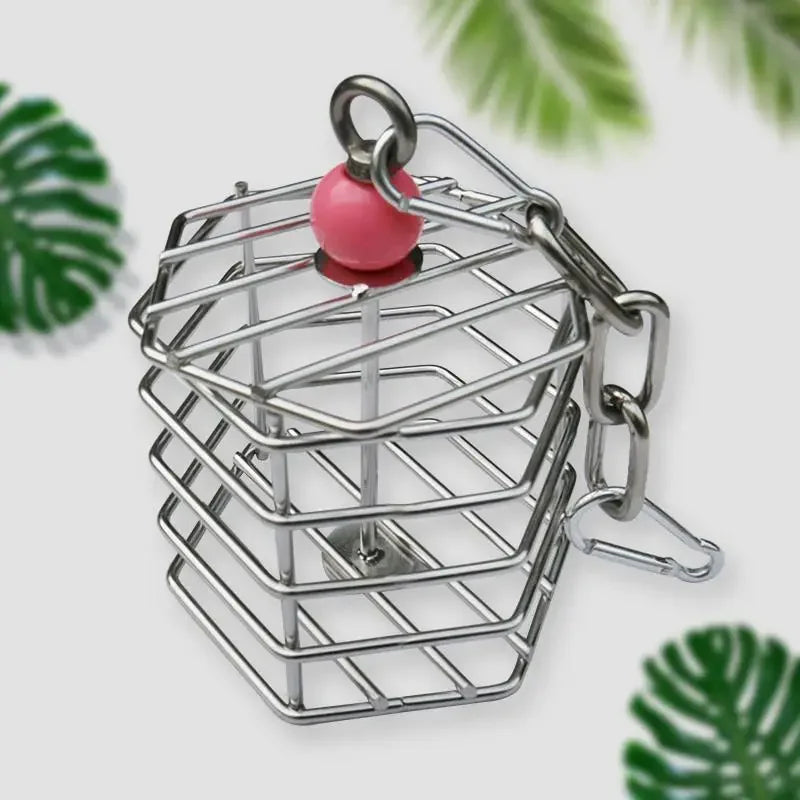 304 Stainless Steel Hanging Basket Foraging Feeder for Parrots