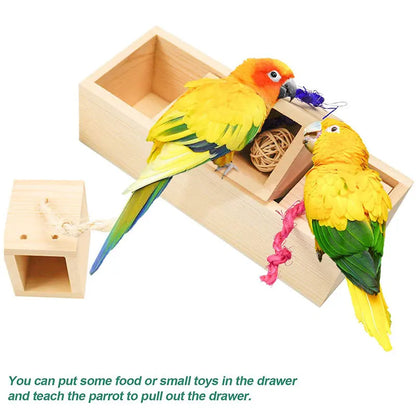 Bird Puzzle Training Foraging Box Set | Bon Bon Bird Toys