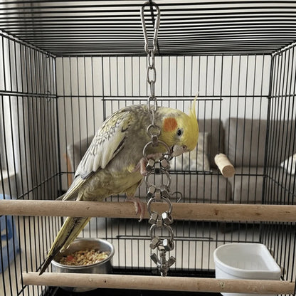 Stainless Steel Chain Toy for Birds | Bon Bon Bird Toys