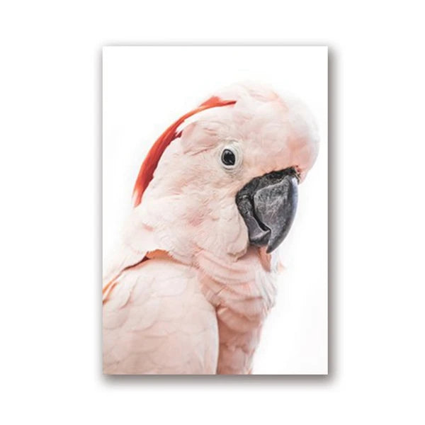 Parrot and Cockatoo Canvas Wall Art Print 
