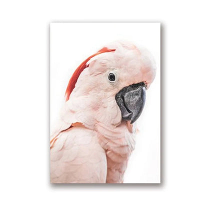 Parrot and Cockatoo Canvas Wall Art Print 