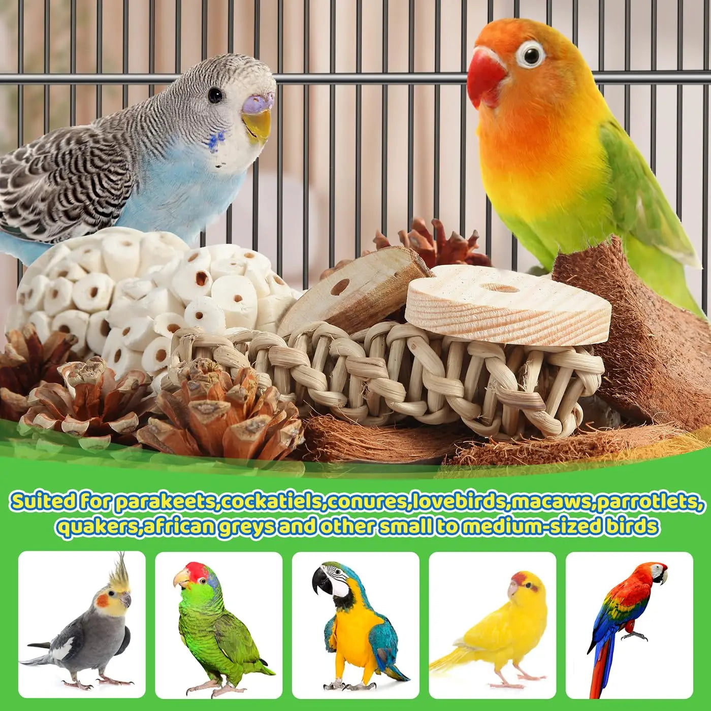 Natural Foraging Box for Birds | Bon Bon Bird Toys